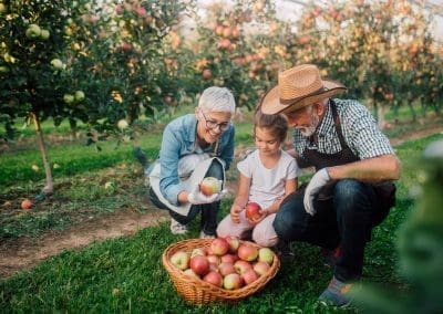 10 Fun Fall Things for Seniors To Do in Buffalo